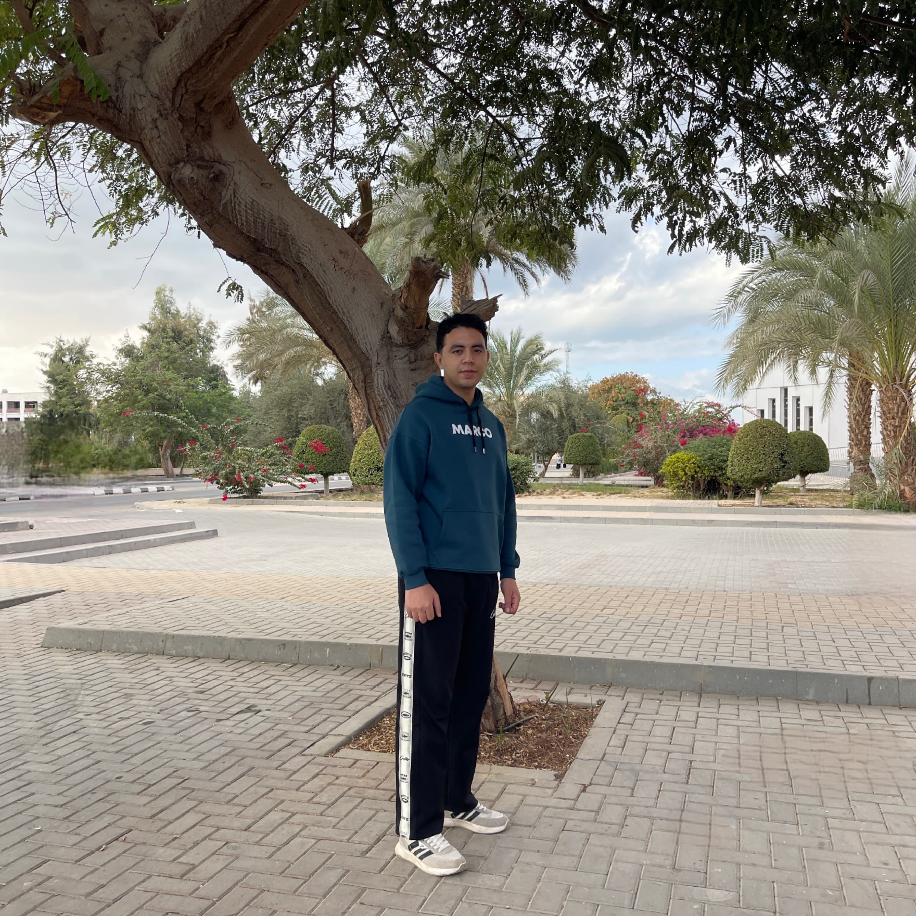 Ibrahim Ashraf – Front-end Developer